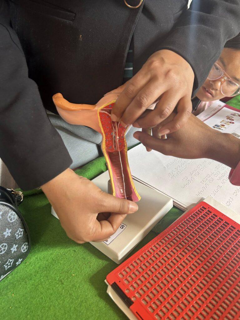 A person demonstrates a detailed model of the reproductive system, highlighting anatomical features with educational materials in the background.